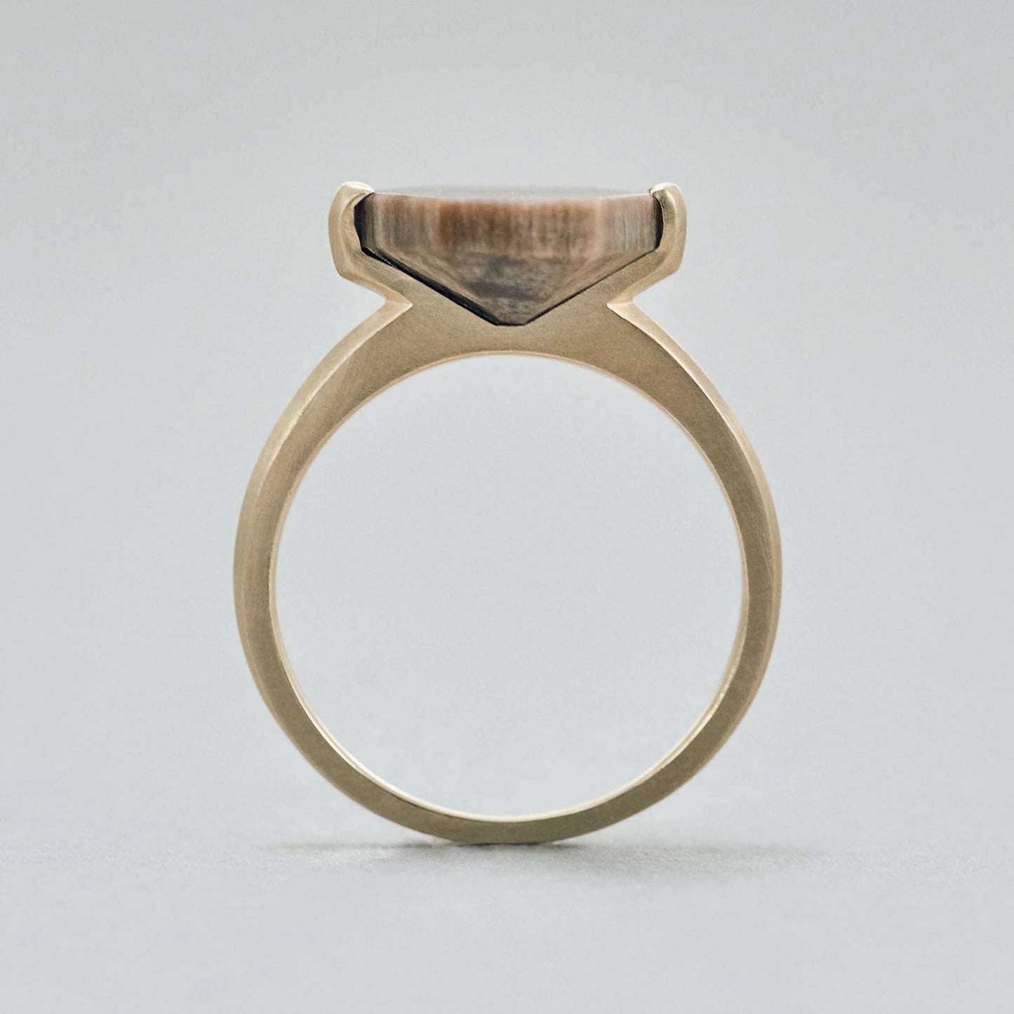 Hexagonal Gemstone Ring_node(ペトリファイドウッド)