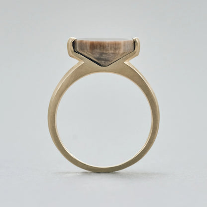 Hexagonal Gemstone Ring_node(ペトリファイドウッド)
