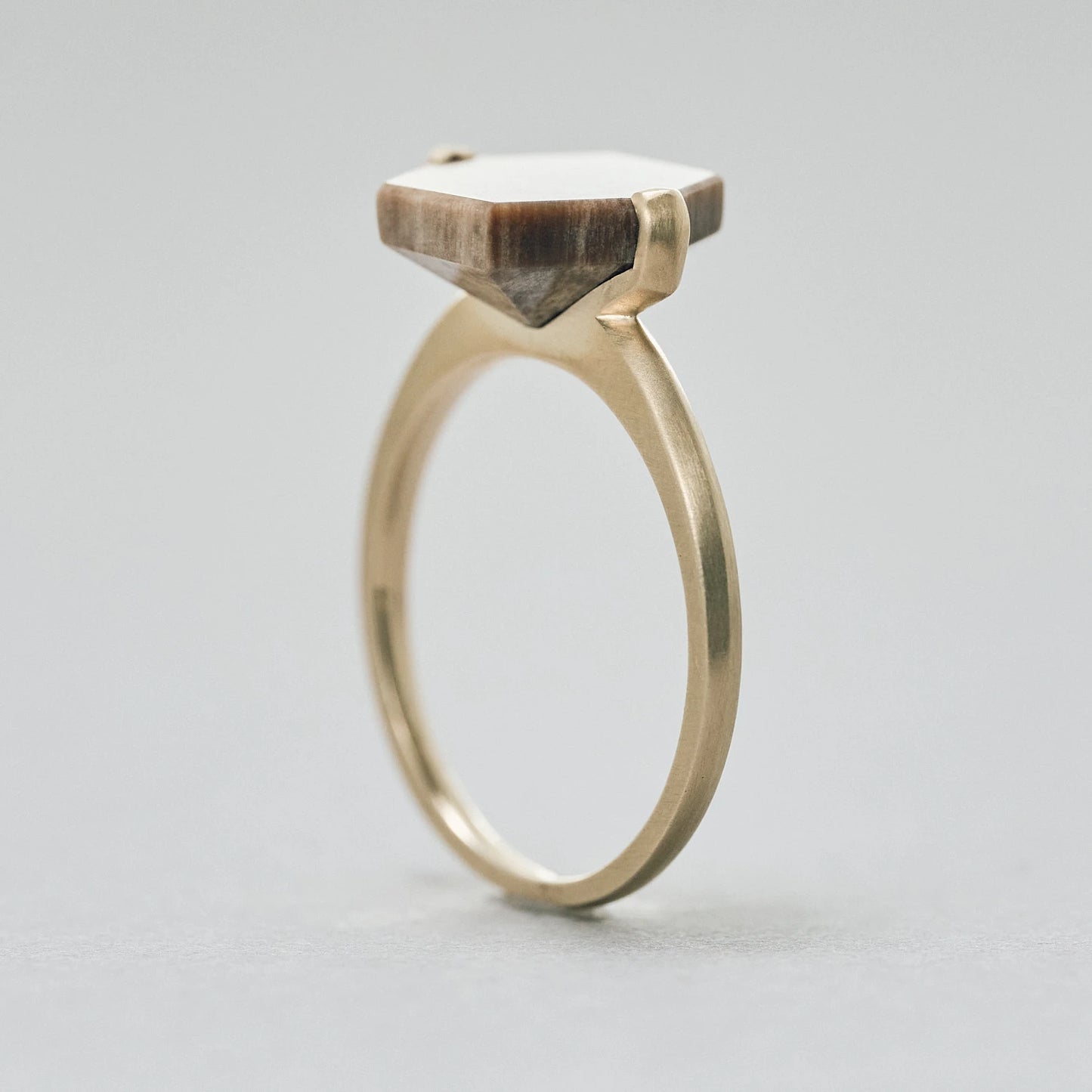 Hexagonal Gemstone Ring_node(ペトリファイドウッド)