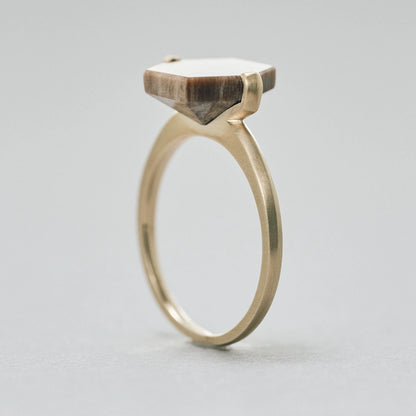 Hexagonal Gemstone Ring_node(ペトリファイドウッド)