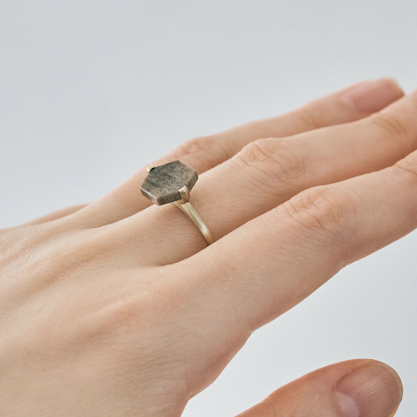 Hexagonal Gemstone Ring_node(ペトリファイドウッド)