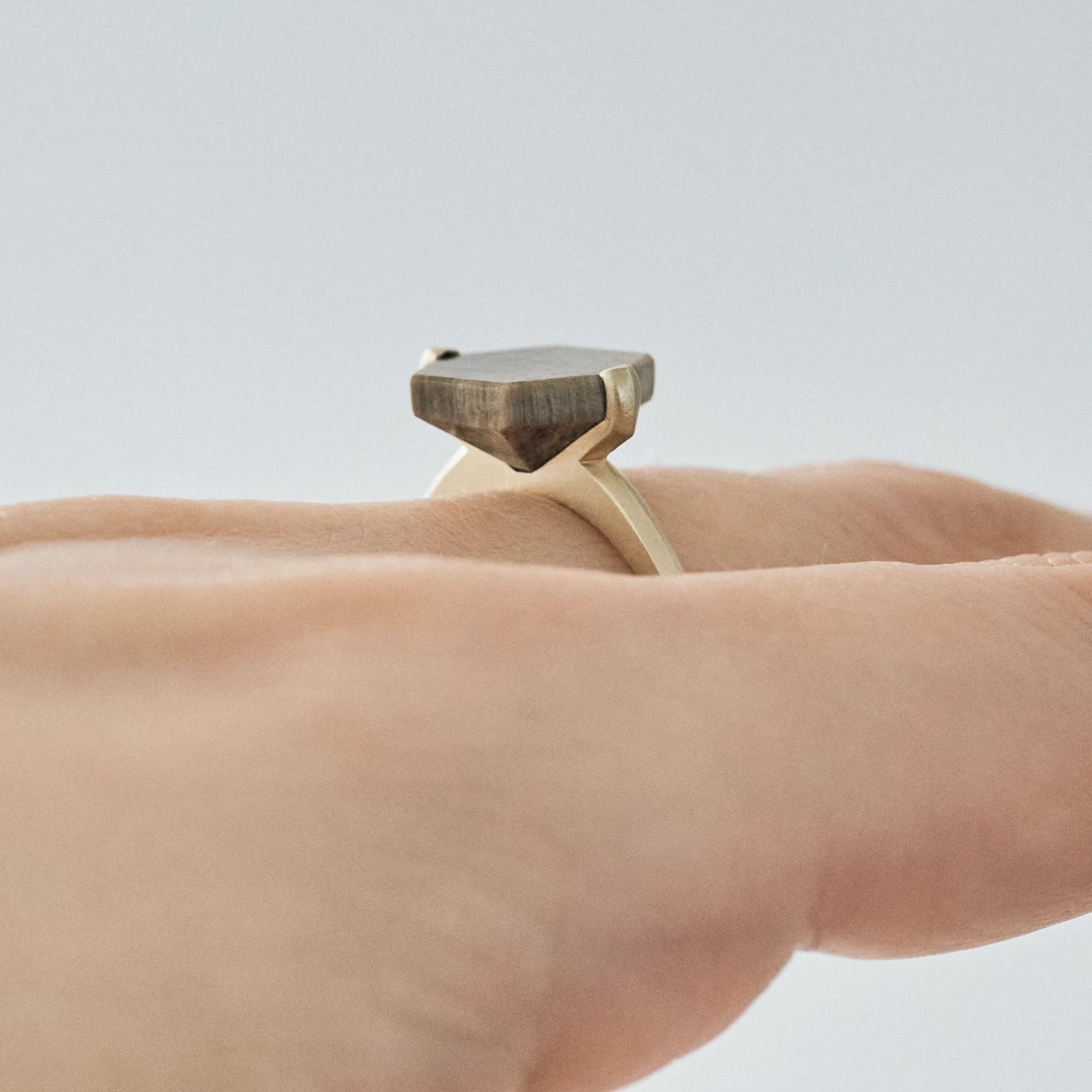 Hexagonal Gemstone Ring_node(ペトリファイドウッド)