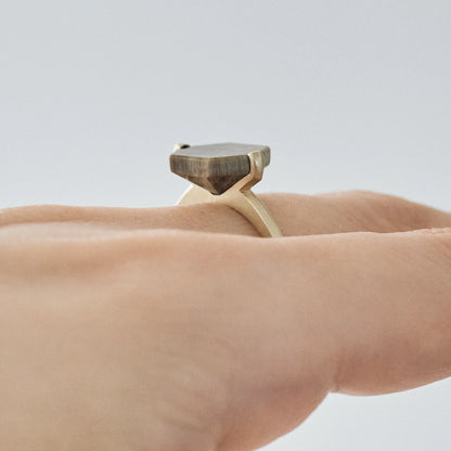 Hexagonal Gemstone Ring_node(ペトリファイドウッド)