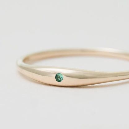 Gold Ring_puff(wide)