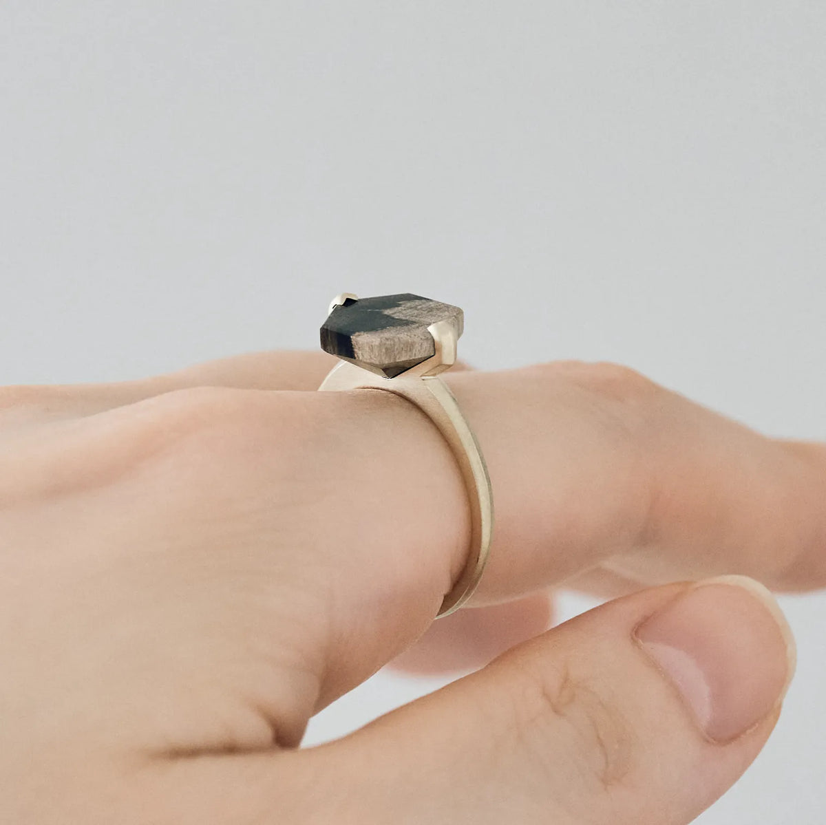 Hexagonal Gemstone Ring_node(ペトリファイドウッド)
