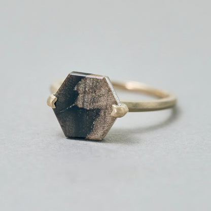 Hexagonal Gemstone Ring_node(ペトリファイドウッド)