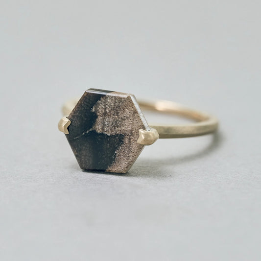 Hexagonal Gemstone Ring_node(Petrified Wood)