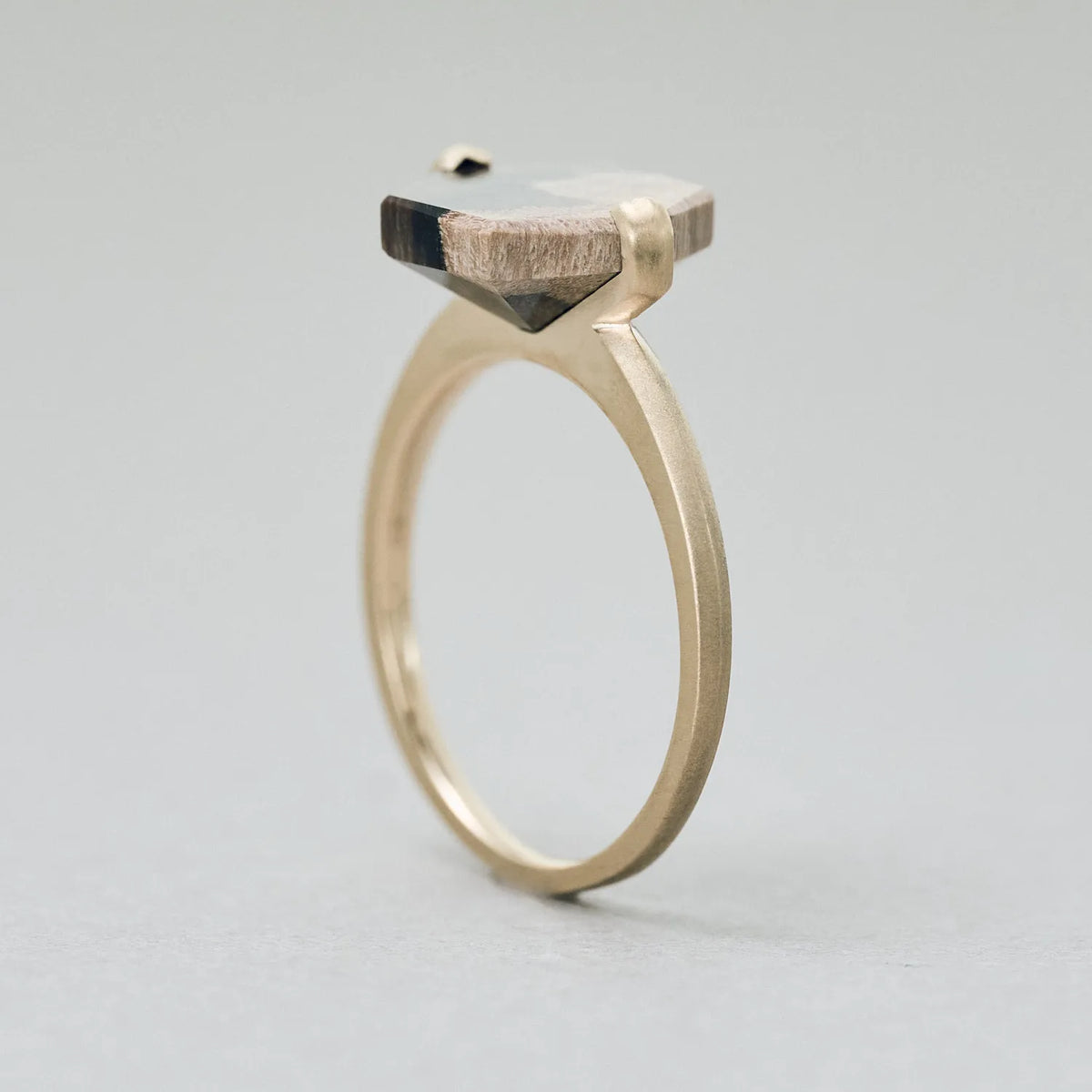 Hexagonal Gemstone Ring_node(ペトリファイドウッド)