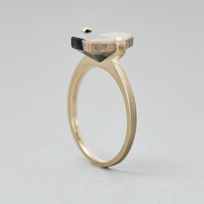 Hexagonal Gemstone Ring_node(ペトリファイドウッド)