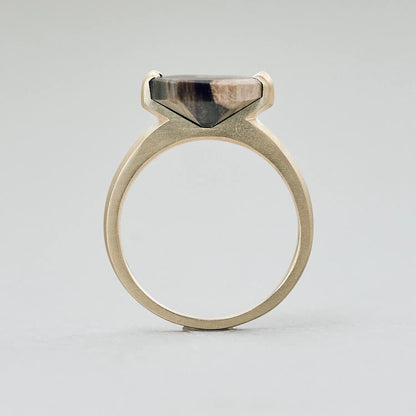 Hexagonal Gemstone Ring_node(ペトリファイドウッド)