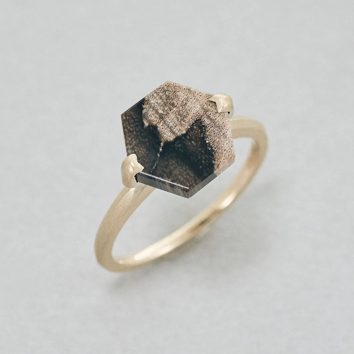 Hexagonal Gemstone Ring_node(ペトリファイドウッド)