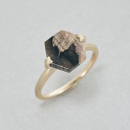 Hexagonal Gemstone Ring_node(ペトリファイドウッド)