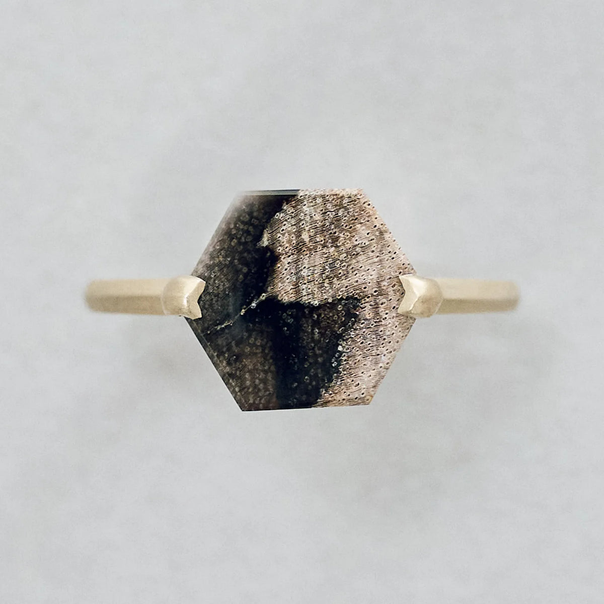 Hexagonal Gemstone Ring_node(ペトリファイドウッド)